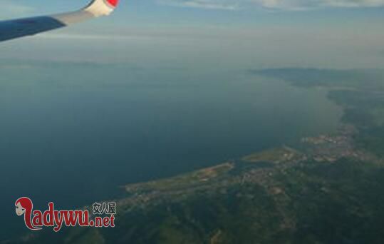 海底惊现12米巨型真龙