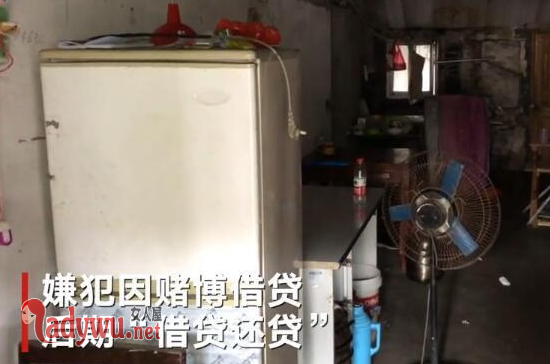 滴滴嫌犯全家还贷