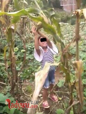 云南8岁女孩遇害