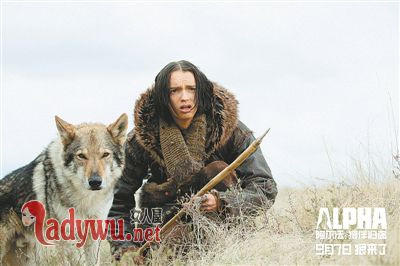 阿尔法:狼伴归途讲的什么