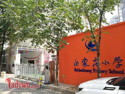 教师节送花被罚站