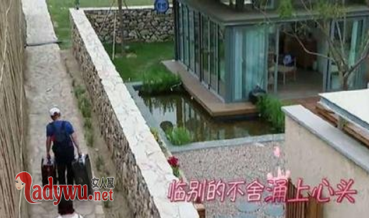 幸福三重奏张智霖袁咏仪