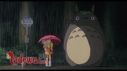 龙猫的恐怖真相