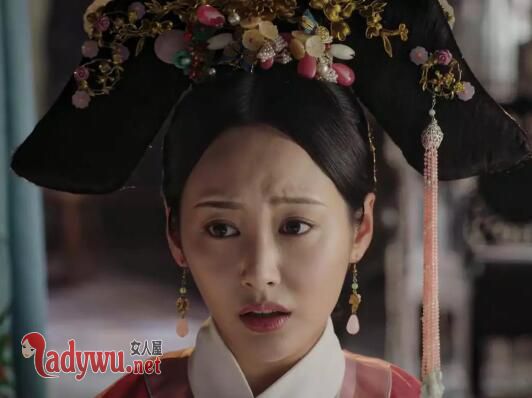 魏嬿婉的儿子继承皇位吗