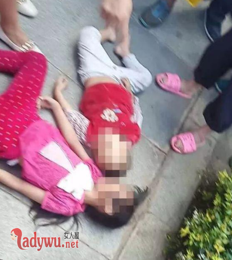 两幼童被推坠亡