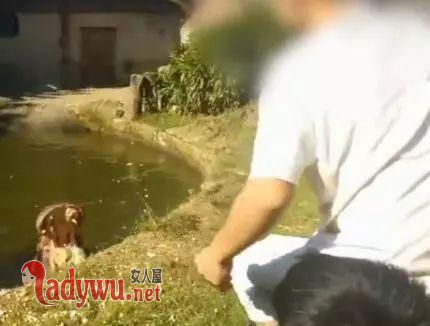 河马被喂食塑料袋