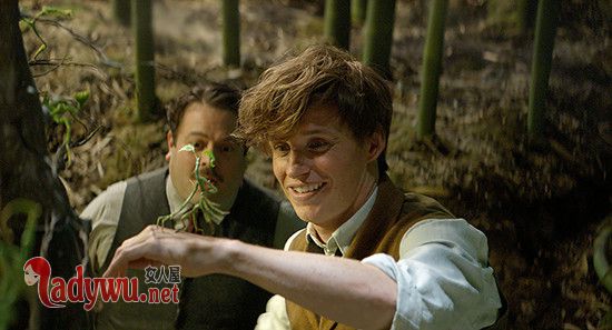 神奇动物在哪里2好看吗