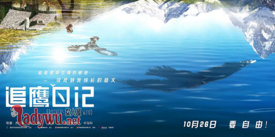 追鹰日记什么时候上映