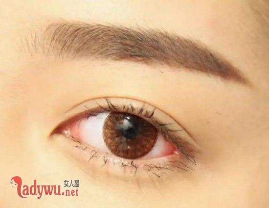 新手怎么画好眉毛