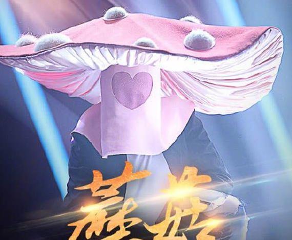 蒙面唱将3蘑菇是谁