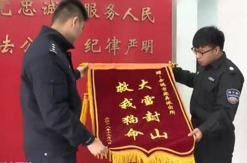 大雪封山救我狗命