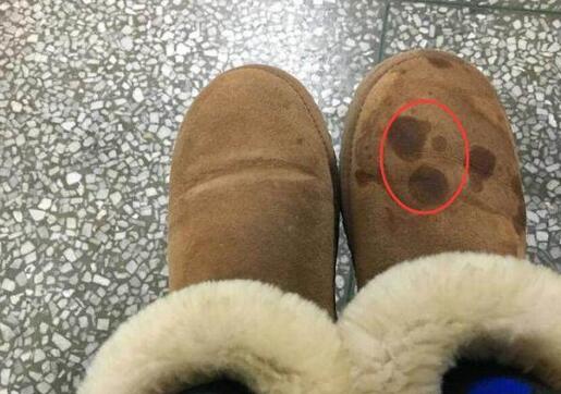 翻毛鞋脏了怎么打理