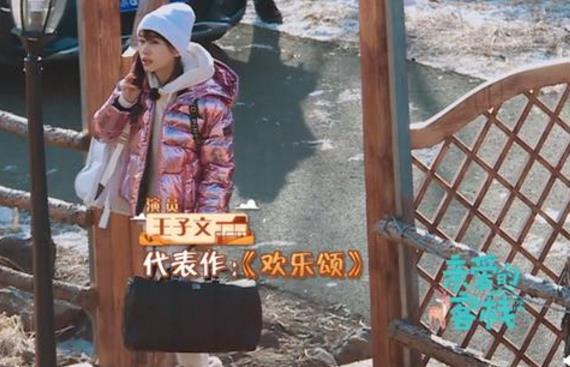 亲爱的客栈2王子文
