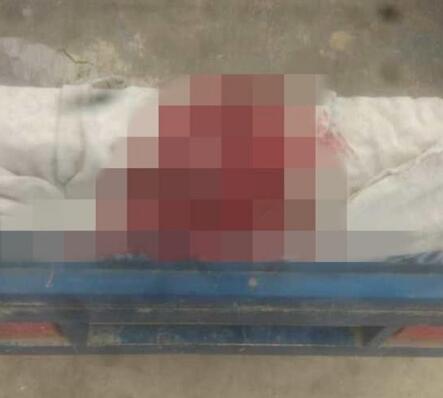 女生被打下体出血