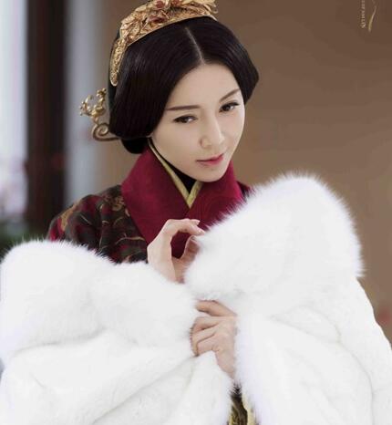 皓镧传华阳夫人姐姐有原型吗