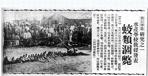 东北掉下一条真龙是真的吗