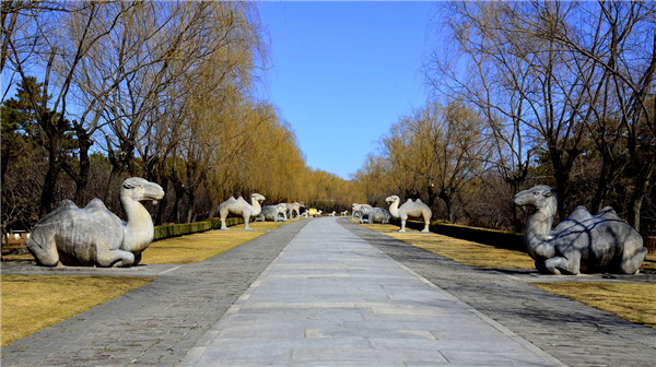 为什么说十三陵不要随意去参观