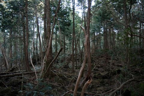 世界上十大恐怖地方在哪里
