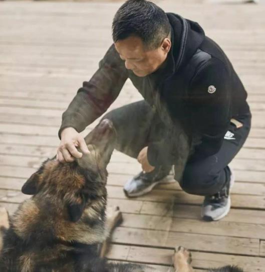 疯狂的外星人狗落水