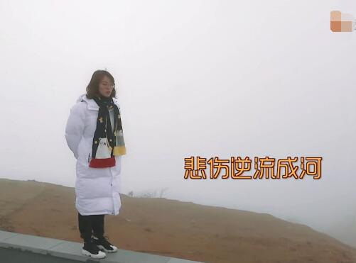我家那闺女傅园慧同款鞋子是什么品牌