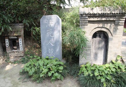 活死人墓为什么不挖掘