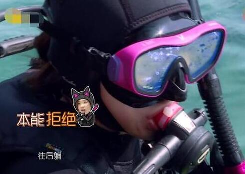 我家那闺女袁姗姗拿到潜水证了吗