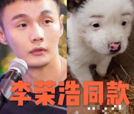 李荣浩同款狗狗