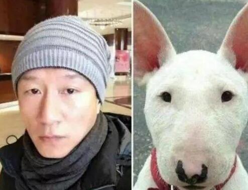李荣浩同款狗狗