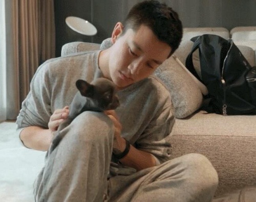 哈哈农夫贾乃亮的狗是什么品种