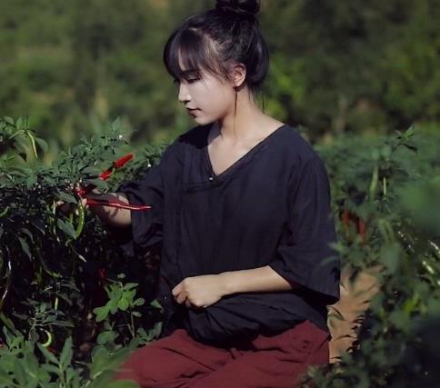 李子柒是包装出来的吗