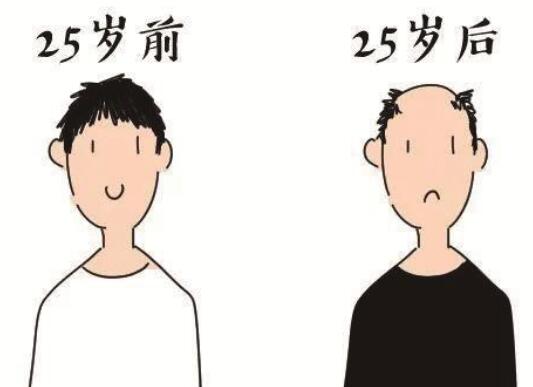 贷款25000元种了2500根头发