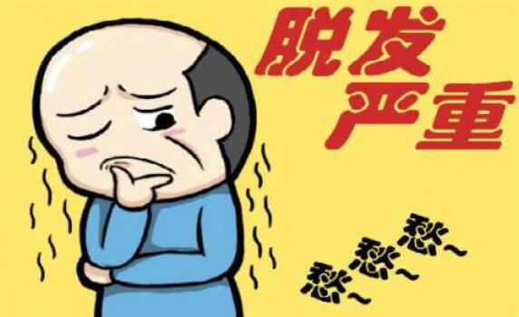 贷款25000元种了2500根头发