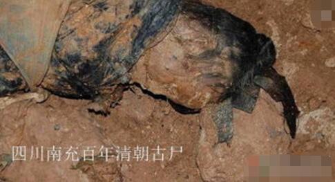 南充清朝古尸复活事件真相