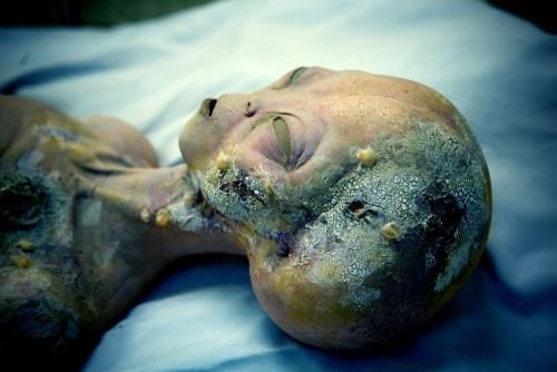 巴西亚马逊外星人事件真相