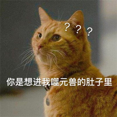 惊奇队长噬元兽危险等级
