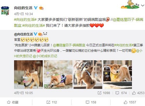 向往的生活第三季在哪里拍摄