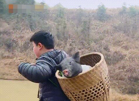 变形计杜华儿子是哪一期