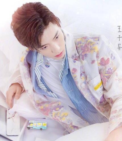 青春的花路王子异维生素c什么牌子