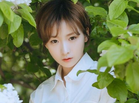 杏花村的女人