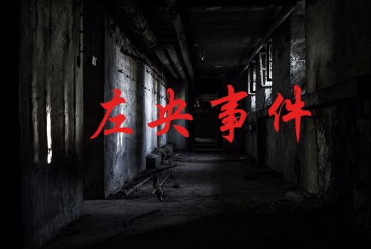 天涯左央事件是真的吗