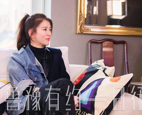 鲁豫有约袁咏仪同款私服介绍