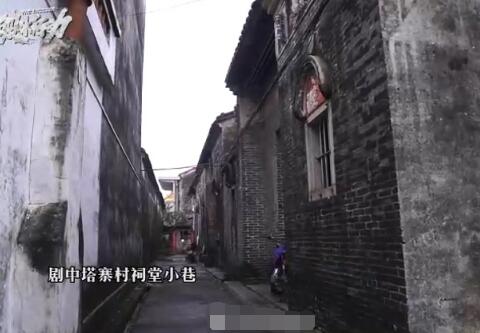 破冰行动林氏家族关系