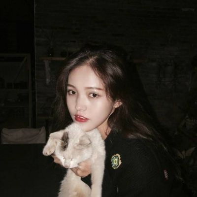我老婆是冰山女总裁