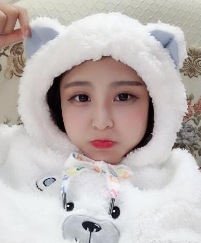 猫妹妹为什么流产