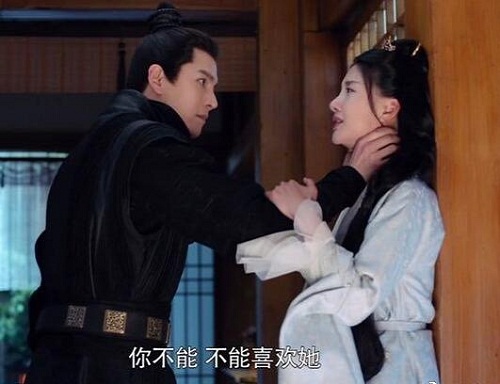 白发容乐和傅筹圆房了吗