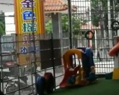 男童校车内离世