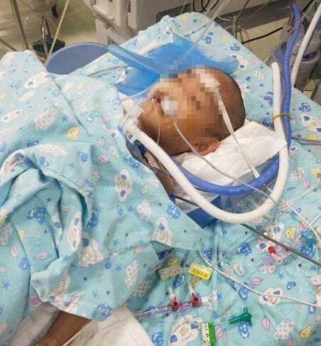 男童校车内离世