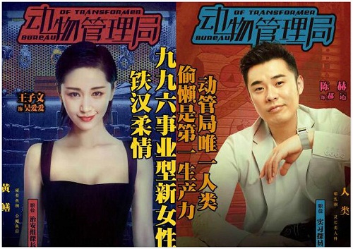 动物管理局里分别是什么动物