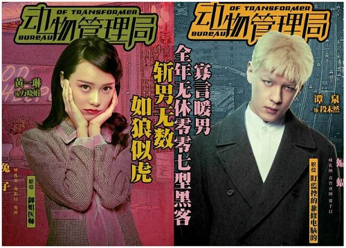 动物管理局里分别是什么动物