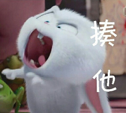 爱宠大机密兔子叫什么